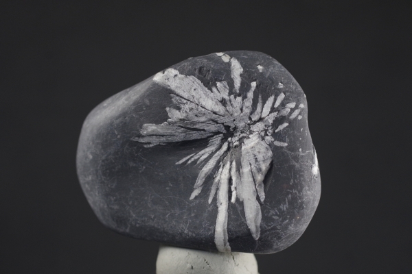 美濃の壺石 4．8kg 天然石販売 名取貴石 天然石原石鉱物結晶