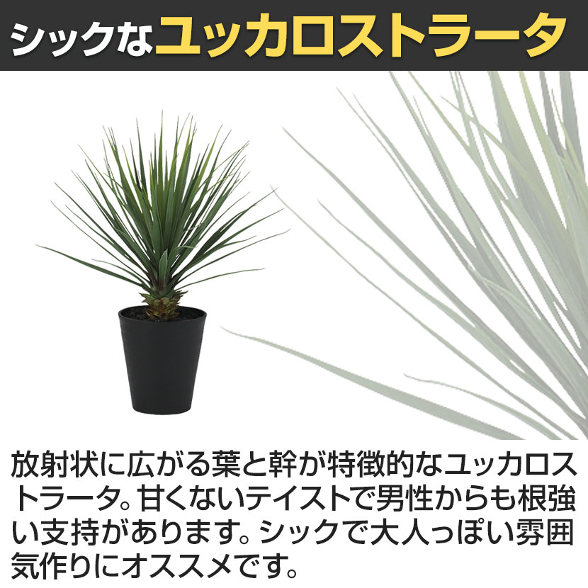 送料無料】 観葉植物 人工樹木 フェイクグリーン 造花 ユッカ