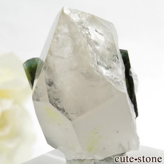 パキスタン産 バイカラートルマリン＆水晶の共生標本（原石）19.6g