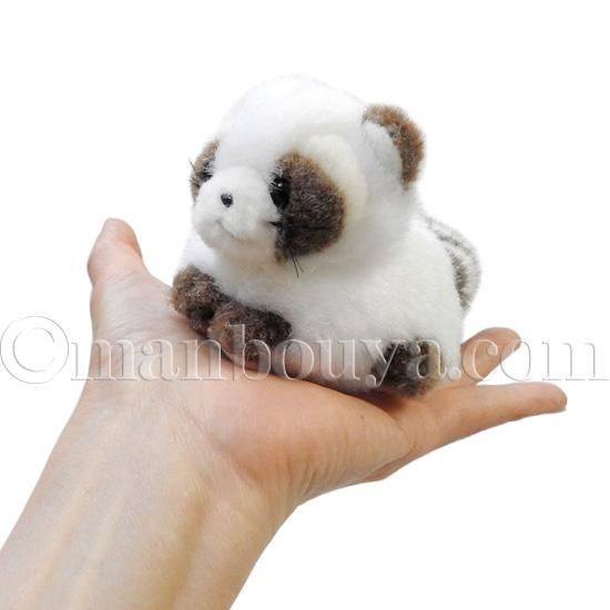 アライグマ ぬいぐるみ 動物園 たけのこ TAKENOKO プチプチらんど