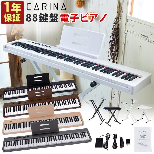 hayarishop_carina-sa0088