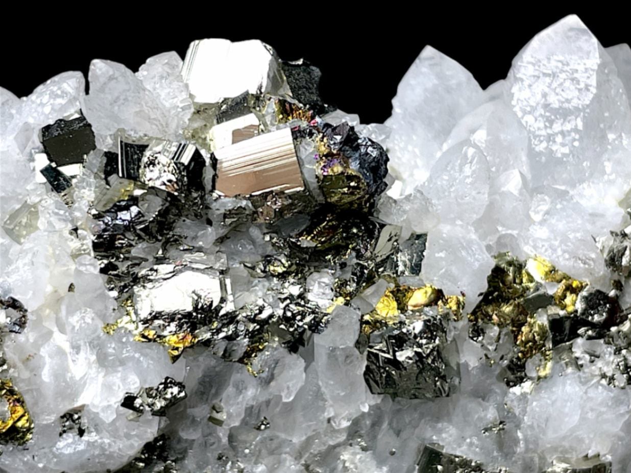 パイライト共生