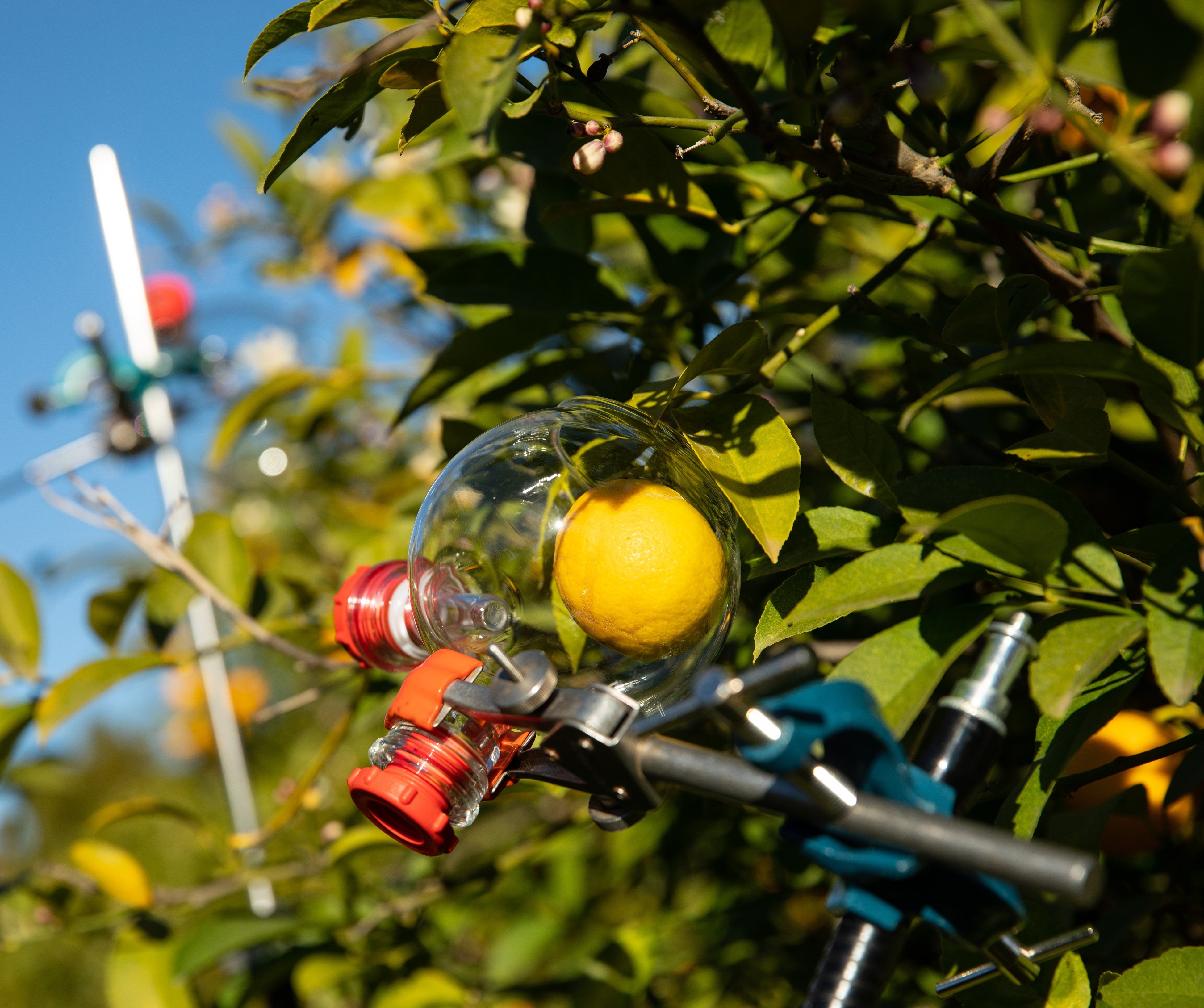 ホリデーもサステナで。贅沢なスキンケアが詰まったタペストリー型も