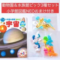 2026年最新】KUZIRA ピックの人気アイテム - メルカリ