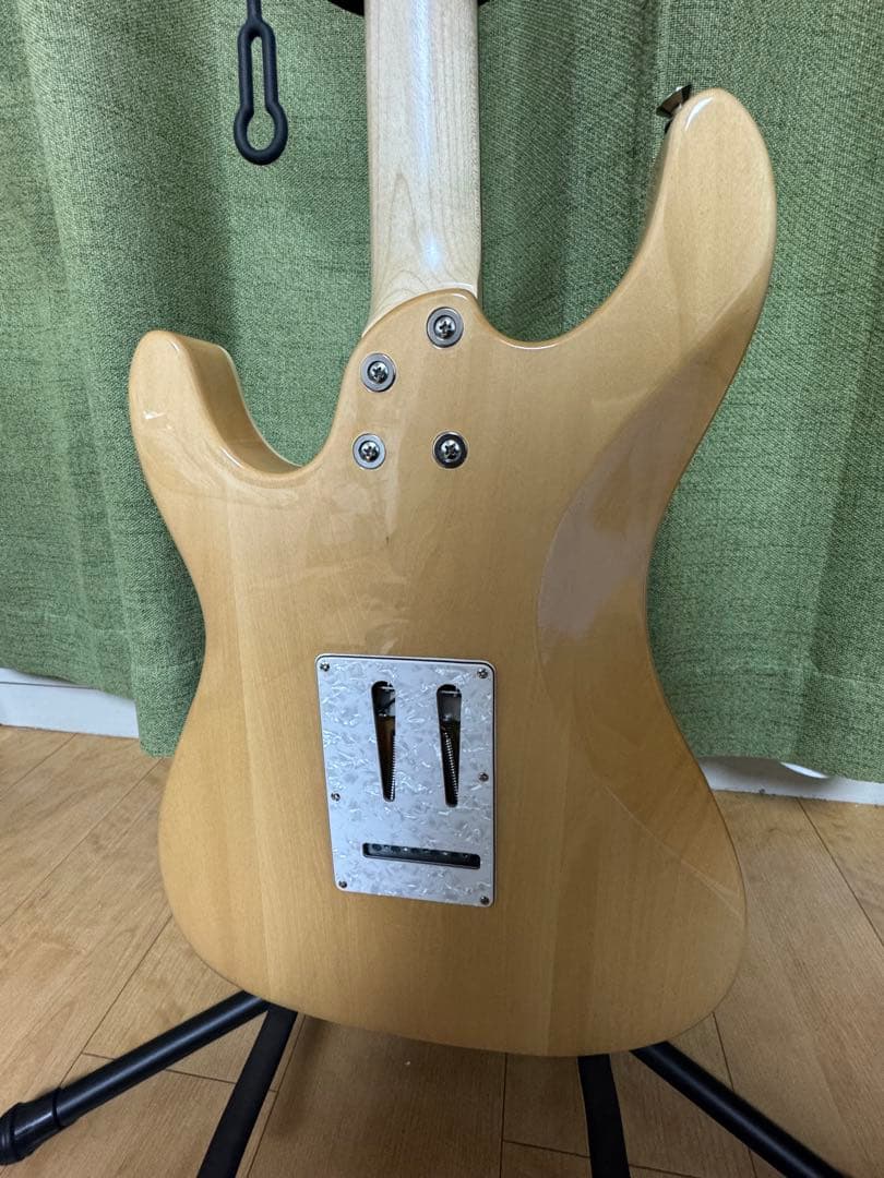 Aria Pro II Evergreen エレキギター 専用ギグバッグ付き