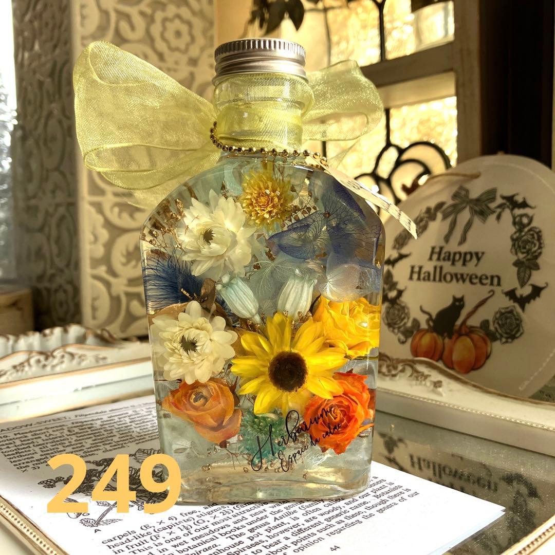 ◆ハーバリウム　249 鮮やかなひまわりヘリクリサム*.:。✿*゜¨゜ ひまわり ハーバリウム』｜横浜花まりか フラワーギフト店