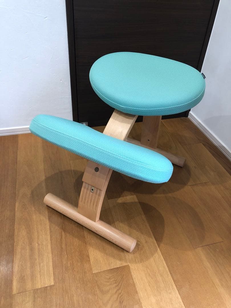 Balans Easy バランスチェア　サカモトハウス　ライトグリーン 楽天市場】【正規品 3年保証】 balans バランスチェア N5070 姿勢保持