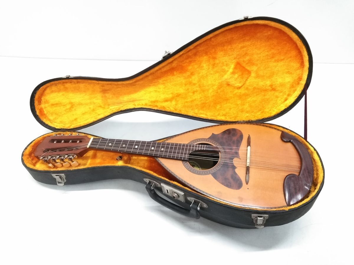 Yahoo!オークション -「鈴木バイオリン」(マンドリン) (弦楽器)の落札