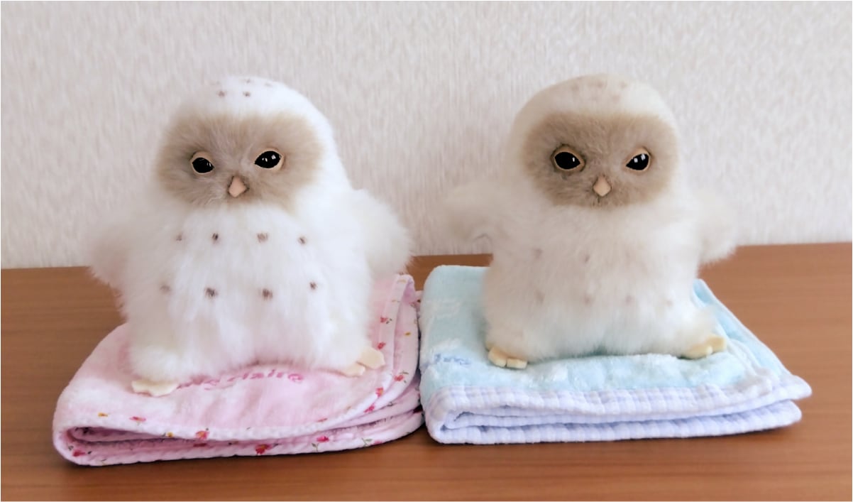 ぬいぐるみ写真のご紹介