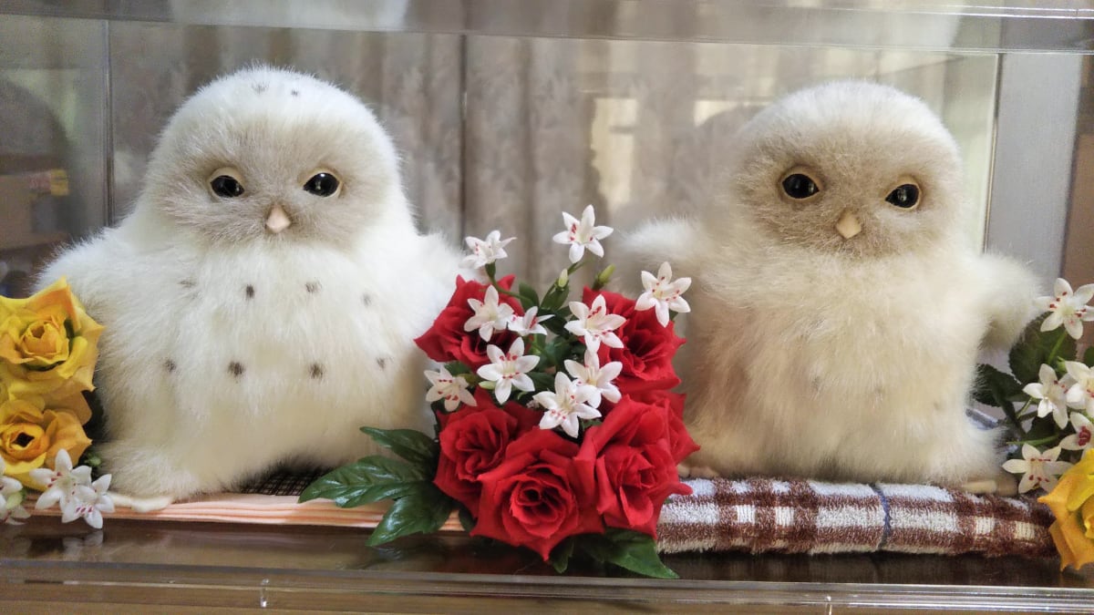 ぬいぐるみ写真のご紹介