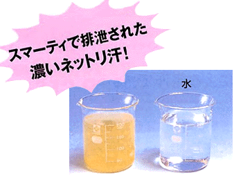 フジカ スマーティ F4-A5 遠赤外線ドームサウナ